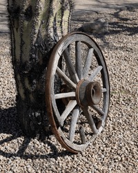 An old wagon wooden wheel lying on a saguaro