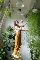 Young woman gardener in orange overalls spraying lush asparagus fern houseplant in her flower store, standing on stepladder. Greenery at home. Love of plants. Indoor cozy garden. 