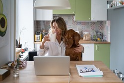 Woman in pajamas hugging her beloved Wirehaired Vizsla dog, sitting on the chair in kitchen room, drinking tea or coffee, looking video at laptop. Love for pets. Leisurely morning at home concept.