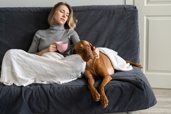Depressed middle aged woman avoid social contacts stay lonely at home with dog after friend betrayal, lover breakup, divorce with husband or family member death. Tired widow drinking tea petting pet