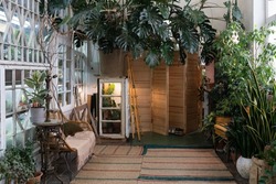 Cozy eco-home with indoor greenhouse, room with rattan chair, jute carpets on floor and giant Monstera Deliciosa houseplant. Natural sustainable materials in eco-friendly interior design
