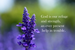 Purple lavender flower against blurred out nature background with copy space and bible inspirational quotes. God is our refuge and strength.