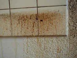 Grease spots and dirt stains on wall paper and tiles in old, filthy kitchen of demolished apartment before renovation, unclean and disgusting splashes of grunge from cooking before cleaning