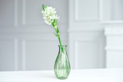 Branch of blooming white hyacinths in a glass vase standing on the table indoor.