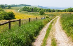 South Downs Way, a long distance footpath and bridleway along the South Downs hills in Sussex, Southern England, UK