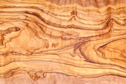 Olive tree wood slice with texture and details
