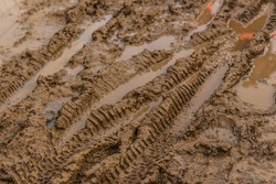 Texture of wet brown mud with bicycle tyre tracks