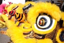 Chinese New Year Lion Dance Head