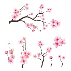 branch tree vector illustration summer clipart autumn clipart nature forest, Background cherry blossom spring flower Japan,  Branch of blooming sakura with flowers, cherry blossom