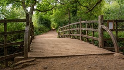 Pooh Sticks bridge were Pooh sticks originated located in the One Hundred Acre wood in Ashdown Forest near Hartfield.