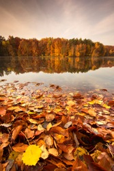 Beautiful, colorful autumn lake. Pomerania, Poland 

