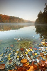 Pomerania, Poland/ Autumn Lake