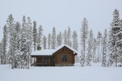 Log Cabin in the snow during a snowstorm surrounded by the woods