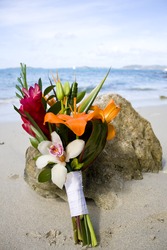 Bride's Bouquet on Beach Coral