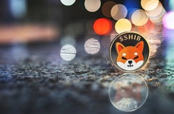 Shiba Inu or SHIB crypto coin with copy space, standing outdoor with blurred bokeh night city lights background and reflection on wet surface. Single Shiba cryptocurrency token, selective focus