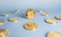 Dogecoin meme coin standing centrally placed among bunch of crypto coins on blue background. Banner with golden Doge token. Close-up, soft focus.