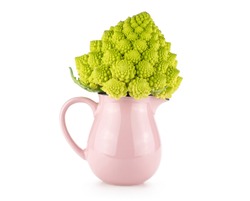 Romanesco cauliflower or broccoli in a pink jar isolated on white background one green head