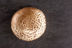One whole fresh brown mushroom portobello flatlay on grey stone