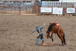 A cowboy has been bucked on his bucking bronco and landing on the dirt standing up. The horse has all 2 legs off the ground is about ready to run into the cowboy.