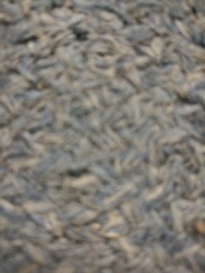 blurry pattern of carpet
