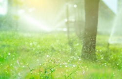 Bokeh water splashing on blur background of automatic lawn sprinkler watering green grass. Sprinkler with automatic system. Garden irrigation system watering lawn. Sprinkler maintenance service. 