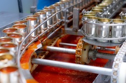 Canned fish factory. Food industry.  Sardines in red tomato sauce in tinned cans at food factory. Food processing production line. Food manufacturing industry. Many can of sardines on a conveyor belt.