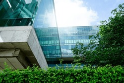 Sustainble green building. Eco-friendly building in modern city. Sustainable glass office building with tree for reducing carbon dioxide. Office with green environment. Corporate building reduce CO2. 