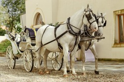 horse carriage Vienna