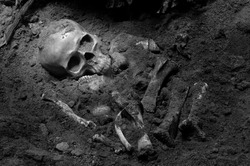 Skull and bones digged from pit in the scary graveyard which has dim light / Still life and art image adjustment color black and white style