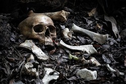 The skull and pile of bone on decay leaf in pit the old graveyard whith has dim light and dark  / Select focus, Still life image