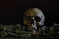 The skull and pile of bone on the wooden plank in dim light room ,  Select focus, Still life image and space for text, 