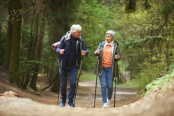 Full length portrait of active senior couple walking towards camera with Nordic poles while enjoying hike in beautiful autumn forest, copy space