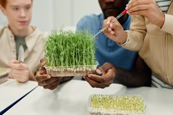 Close up of African-American teacher working on biology experiments with children