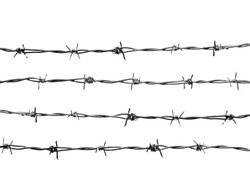 4 lines of new barbed wire, isolated against the white background.
