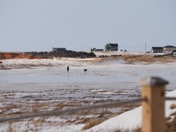 Silhouette of someone walking with dog on frozen pond, houses on top of a hill, Magdalen islands, Quebec, Canada