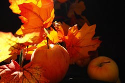 Decorative apple and leaves in fall season, vivid orange yellow colors and black background