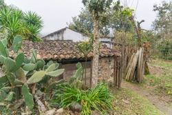 small low-income wooden house with a roof made of clay tiles surrounded by vegetation on a foggy day