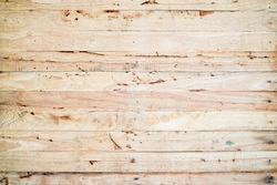 Wood wall background or texture. Natural pattern wood background
