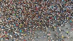 Aerial. Interested crowd of people in one place. Top view from drone.