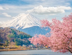 Mountain Fuji in spring at Kawaguchiko, japan. Cherry blossom Sakura. 