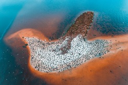 Bird Island. Aerial perspective taken with a drone.