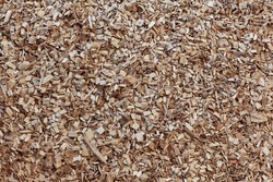 Wood chip chipping or  shredded mulch material texture background