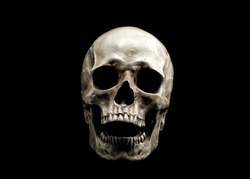 Laughing Human Skull. Evil Skeleton. Skull with open mouth isolated on black background.
