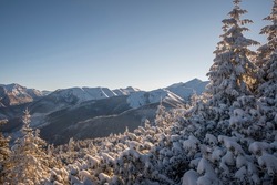Romantic winter landscape in Tatra Mountains, Poland. Warm light of the rising sun, clear cloudless sky, wintry forest growing on a slope. Selective focus on the ridge, blurred background.