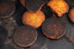 Burnt cookies. Burnt, burnt oatmeal cookies lie on a black baking sheet.