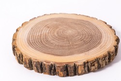 Wooden stump(cut log) isolated. Round cut down tree with annual rings.