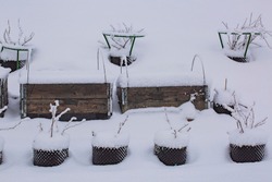 Gorgeous  winter view of exterior of a private garden in plastic pots. Strawberry growing in pallet collar covered, with snow. Winter day. Gorgeous nature background.