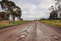dirt road with puddles through canola fields and cloudy sky