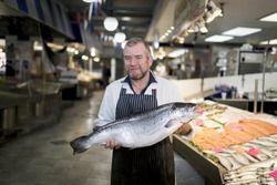 Male fishmonger wearing an apron holding large and whole salmon fish in front of display counter early in the morning on a market in England.