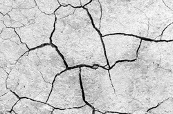 White dried and cracked ground. erosion earth background. cracked dry wall surface. white natural cracked texture